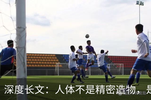 深度长文:人体不是精密造物,是进化盖了 5 亿年的“烂尾楼”!