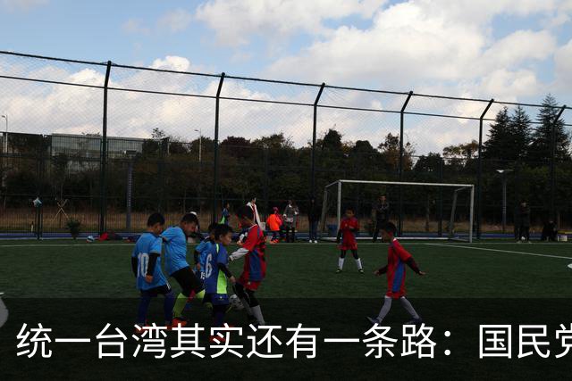统一台湾其实还有一条路:国民党依法公布,我军无需战争只需平暴